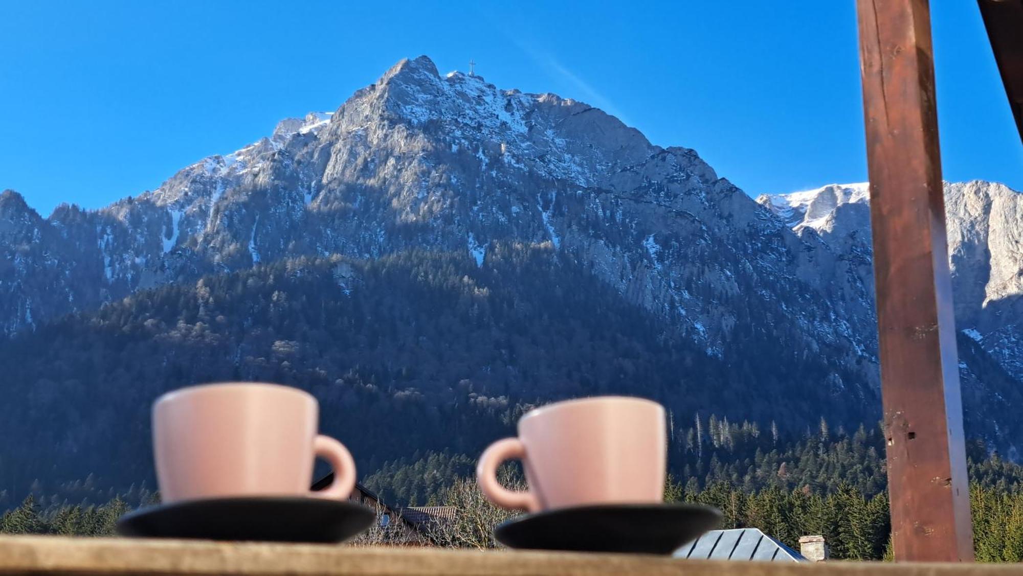 Vila Panoramic بوستين المظهر الخارجي الصورة